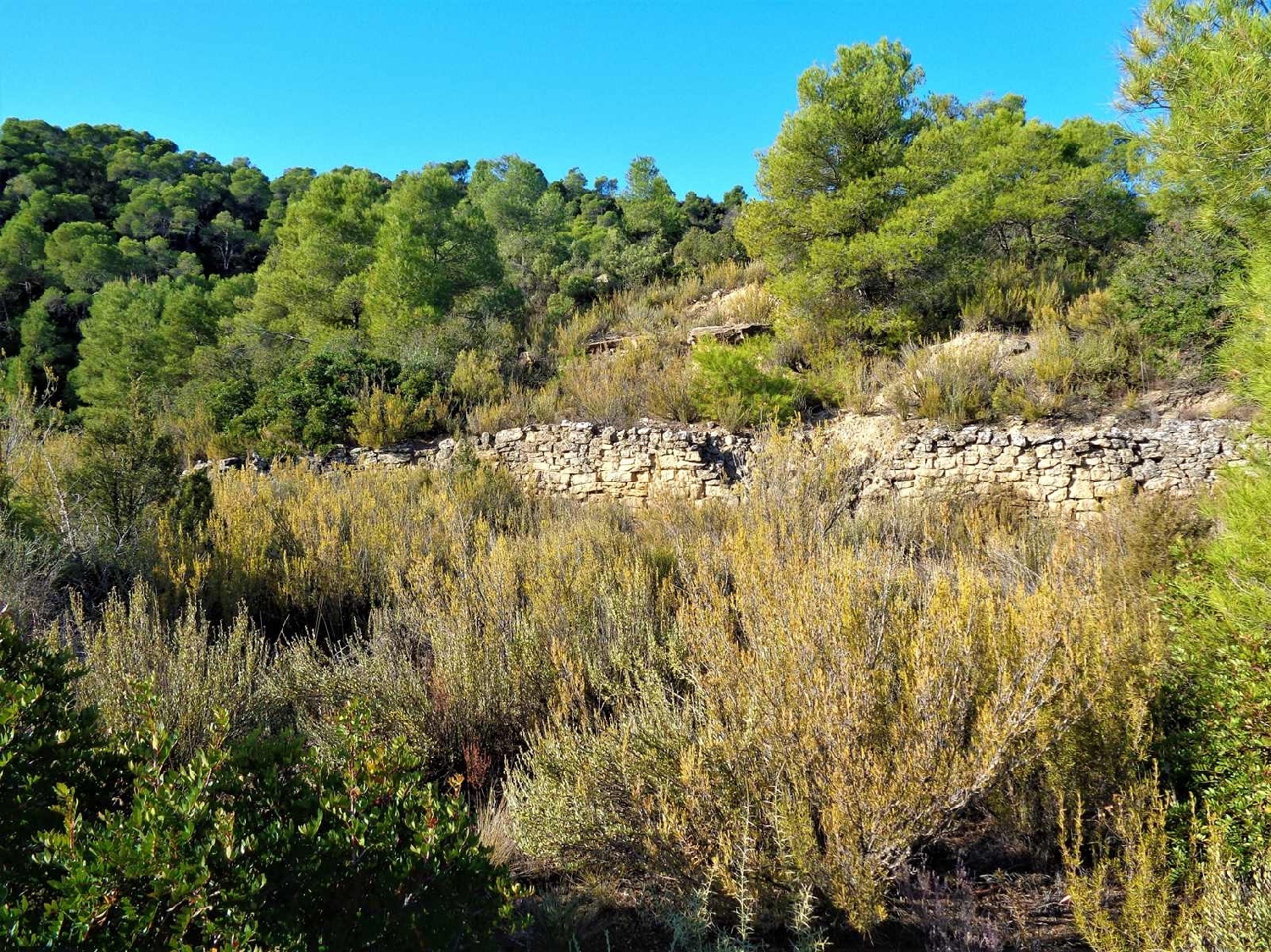  à vendre maison de campagne Maella Bajo Aragón-Caspe 13