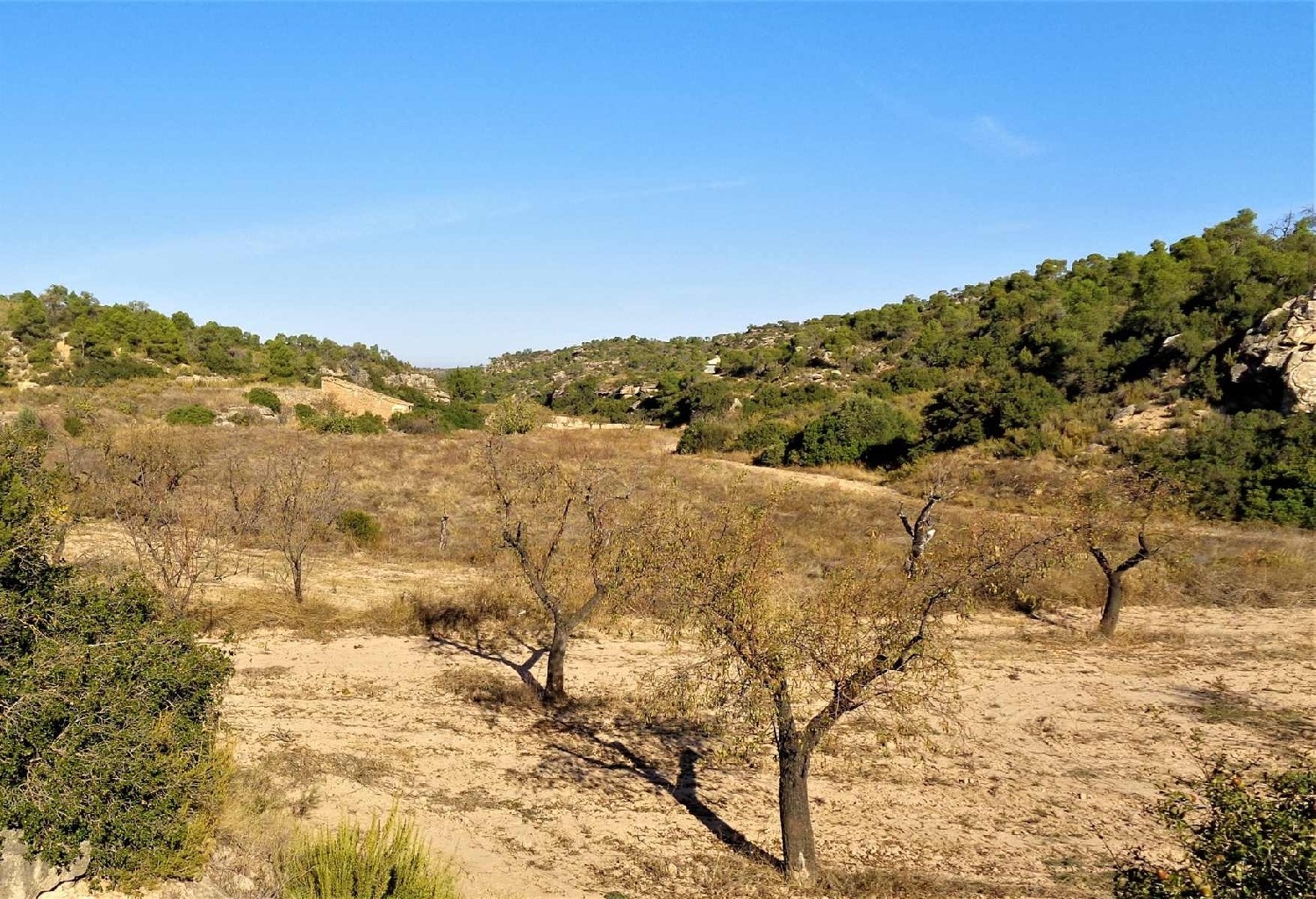  à vendre maison de campagne Maella Bajo Aragón-Caspe 9