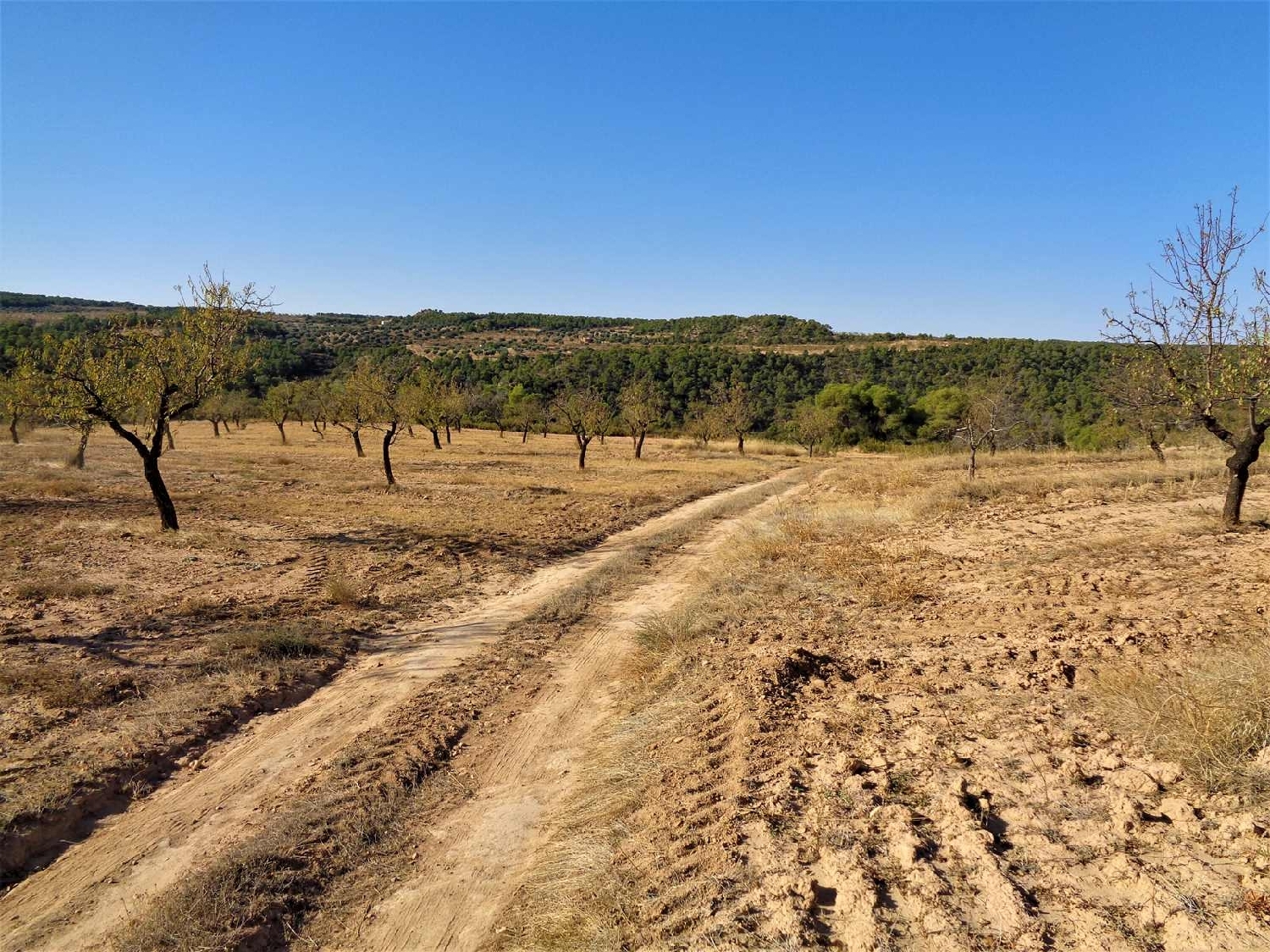 à vendre maison de campagne Maella Bajo Aragón-Caspe 2