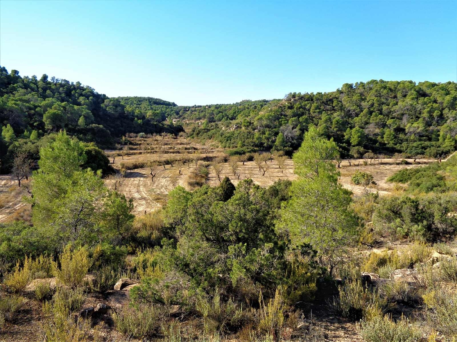 à vendre maison de campagne Maella Bajo Aragón-Caspe 3