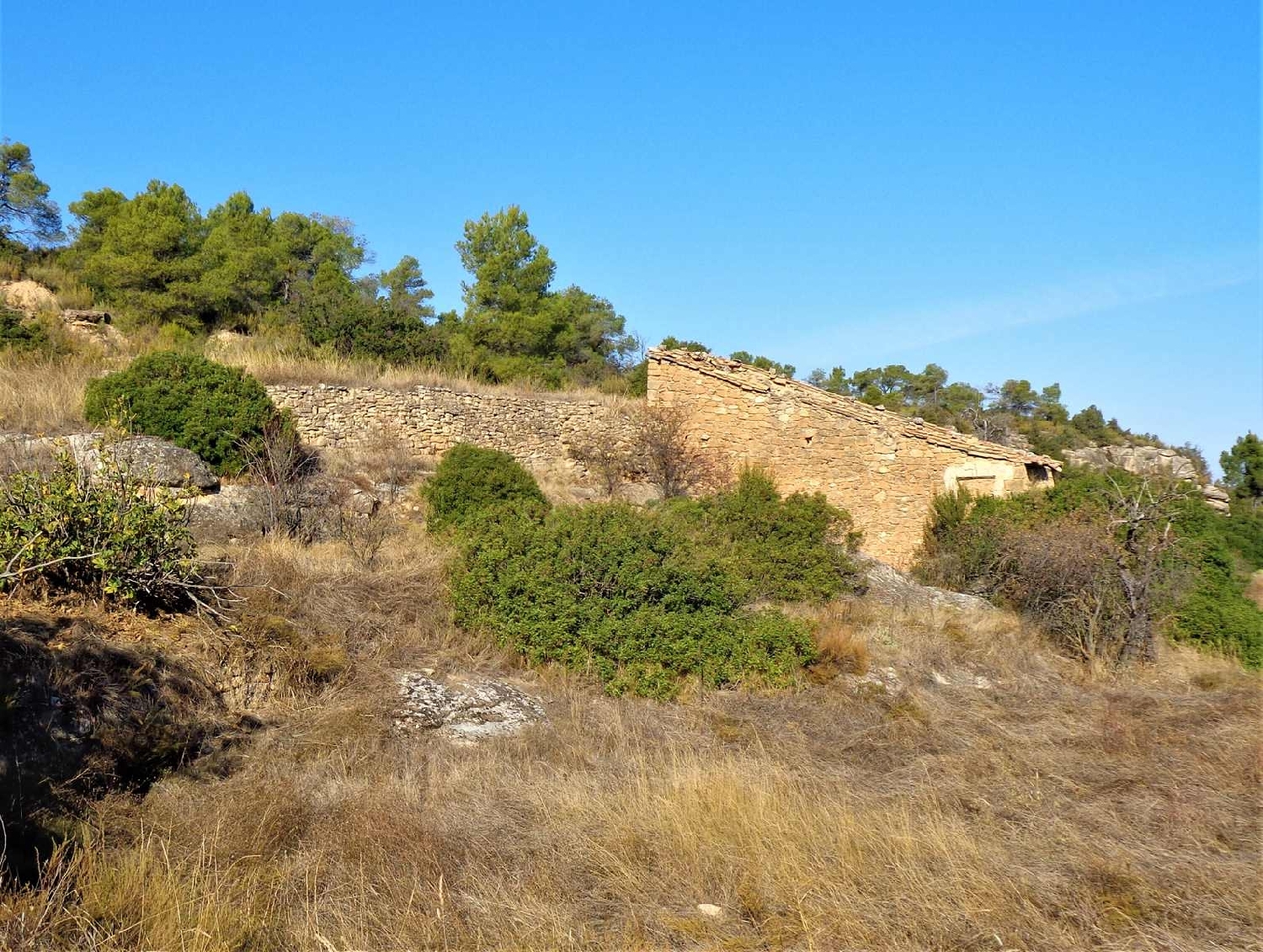  à vendre maison de campagne Maella Bajo Aragón-Caspe 10