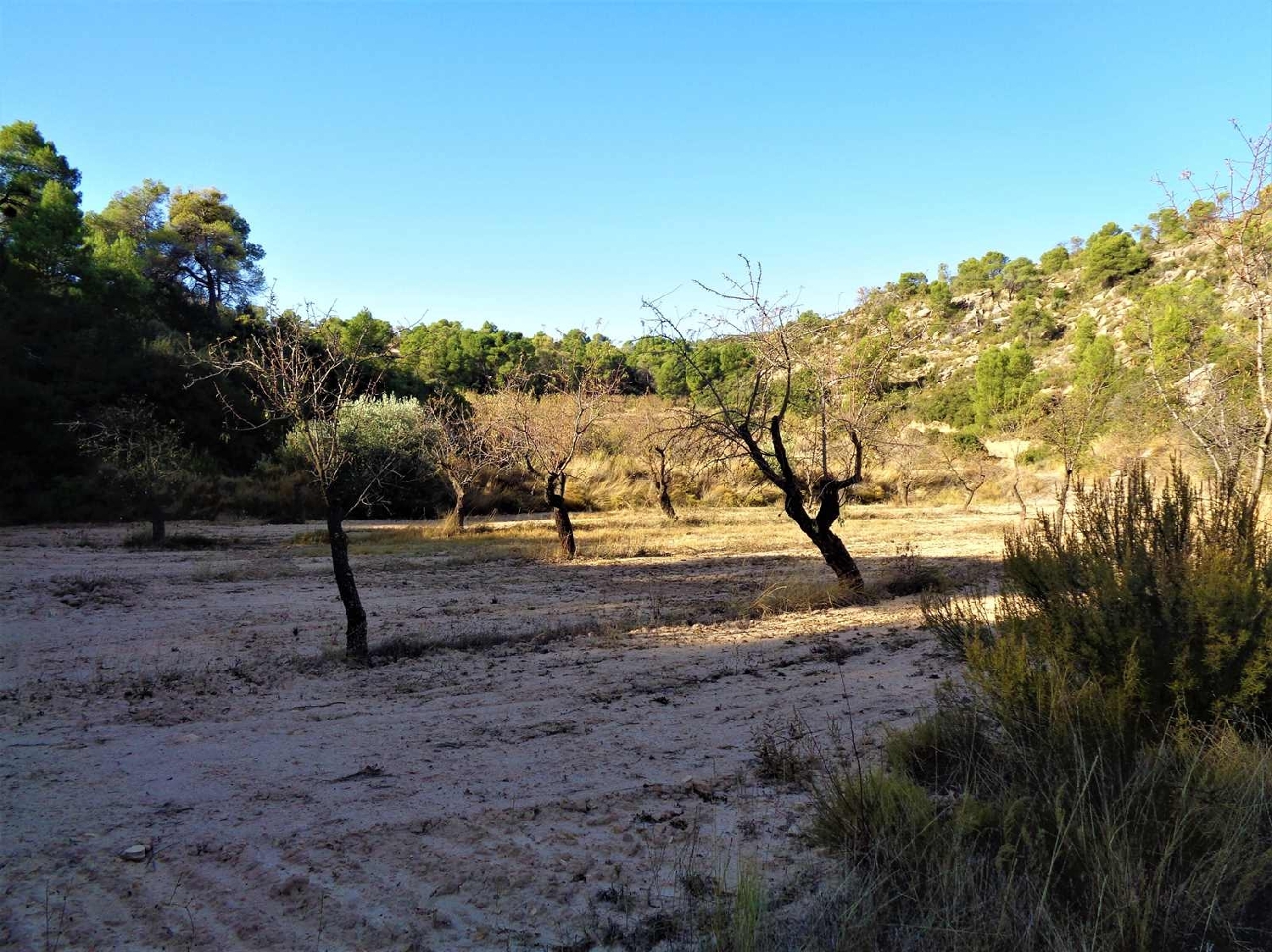  à vendre maison de campagne Maella Bajo Aragón-Caspe 6