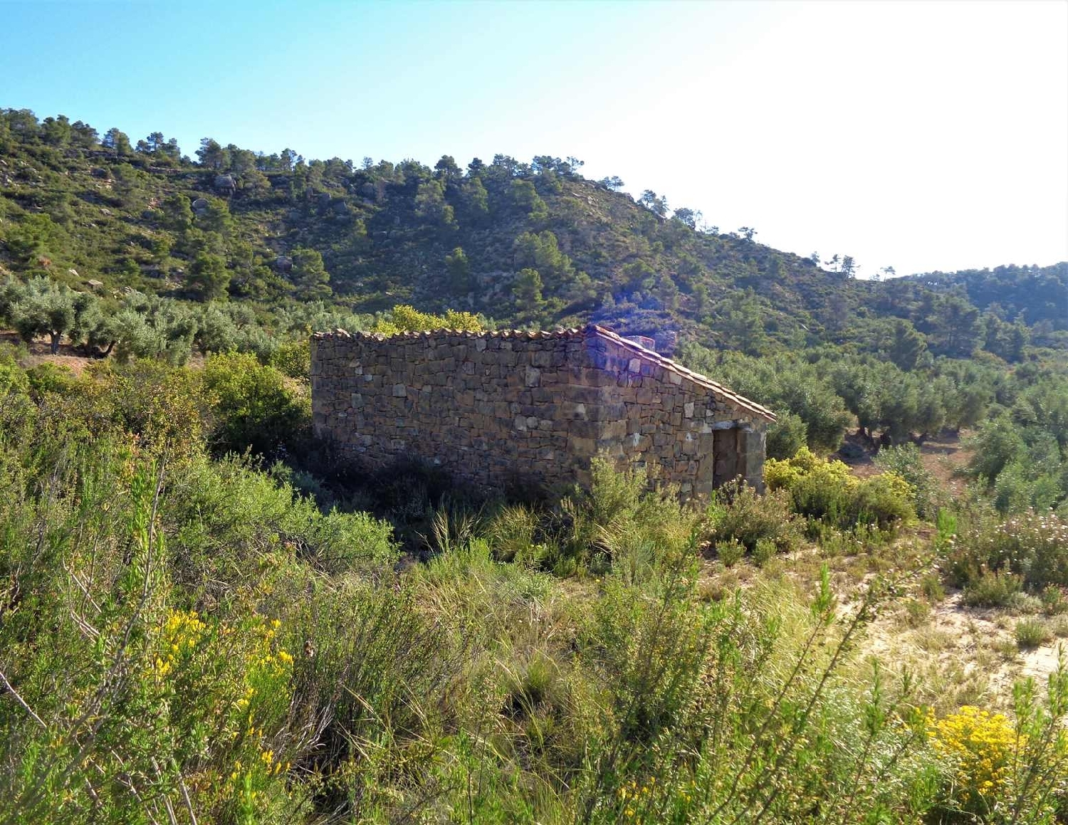  à vendre maison de campagne Maella Bajo Aragón-Caspe 2
