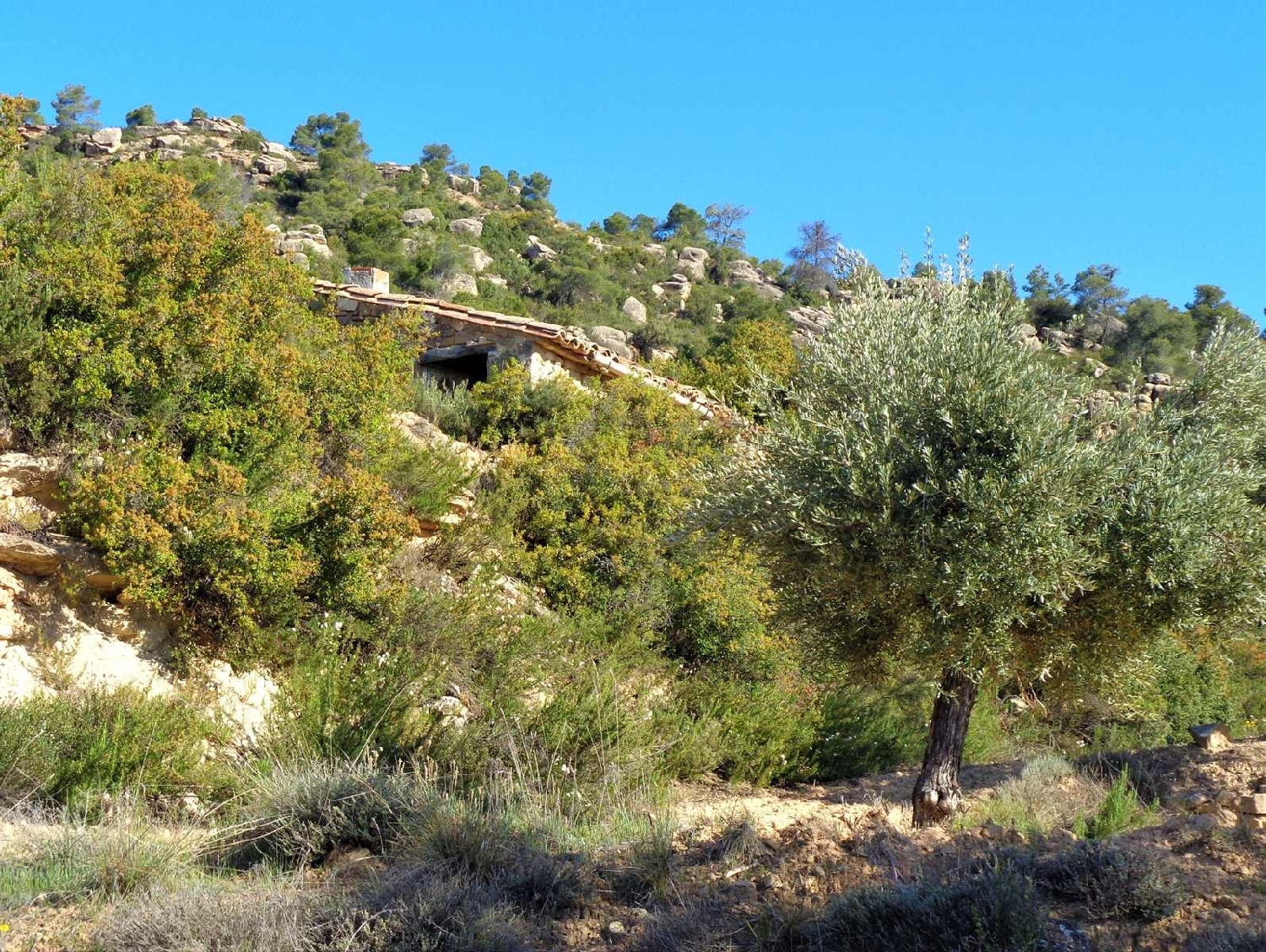  à vendre maison de campagne Maella Bajo Aragón-Caspe 5