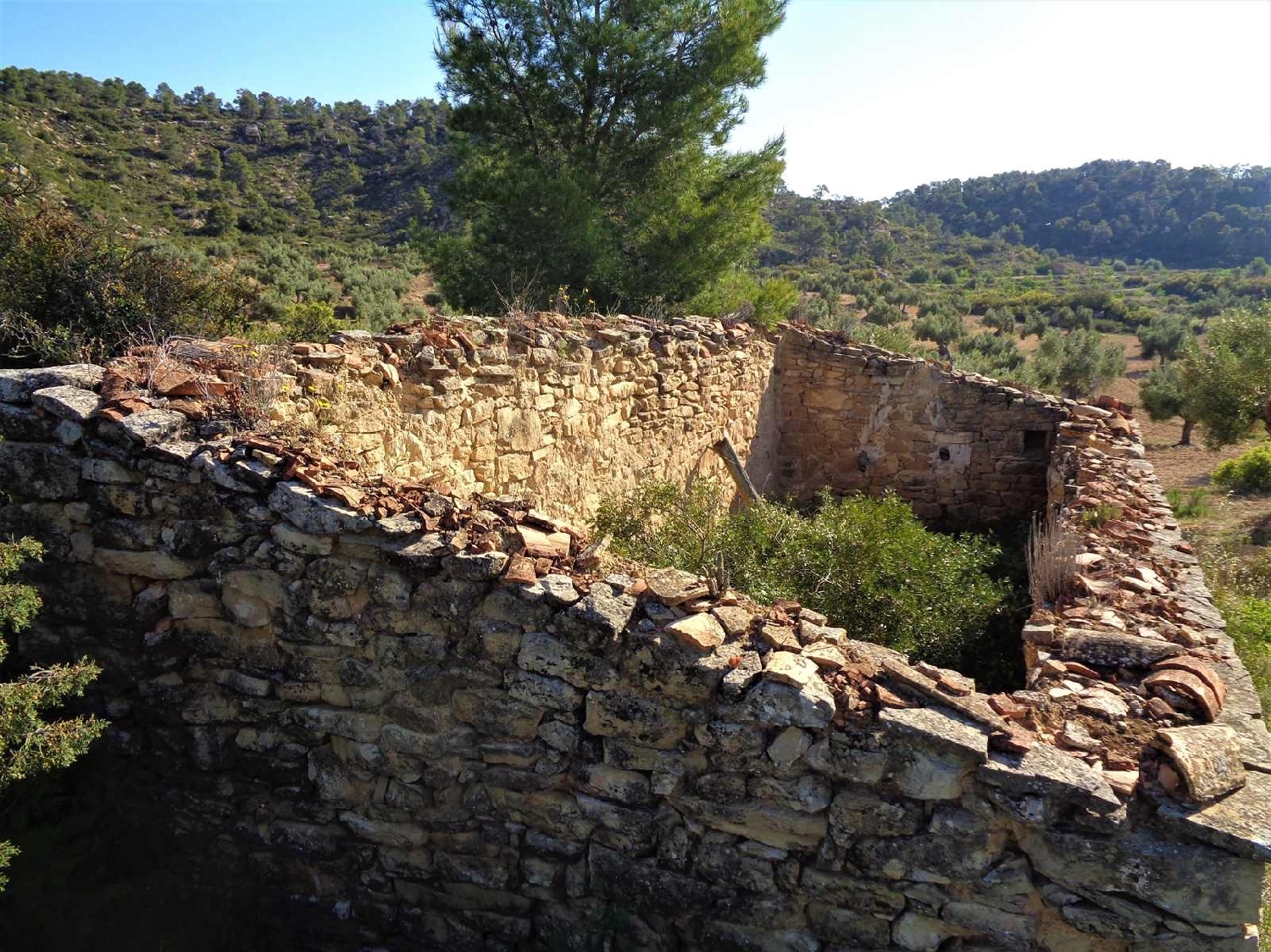  à vendre maison de campagne Maella Bajo Aragón-Caspe 14