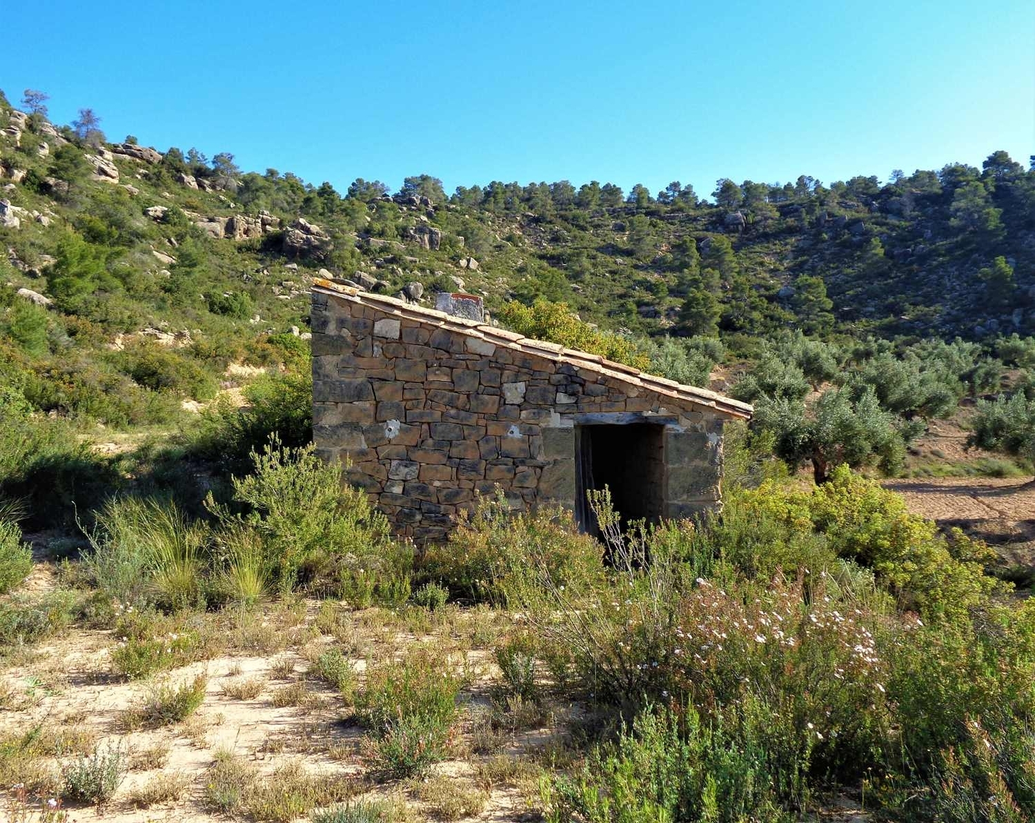  à vendre maison de campagne Maella Bajo Aragón-Caspe 3