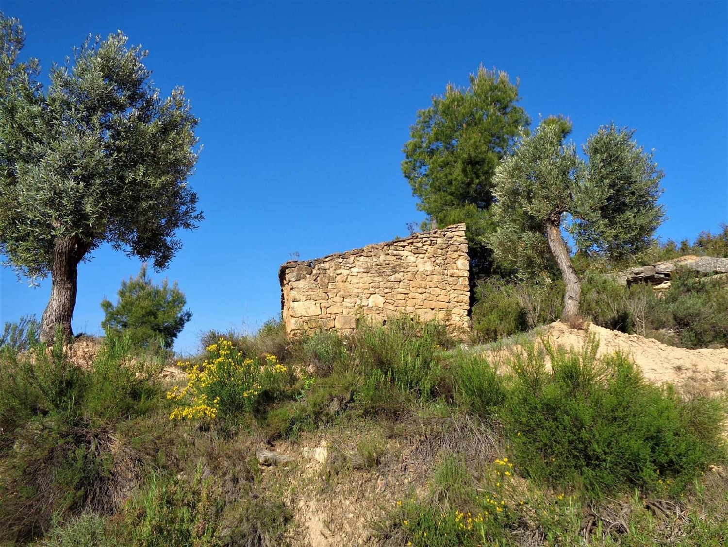  à vendre maison de campagne Maella Bajo Aragón-Caspe 11