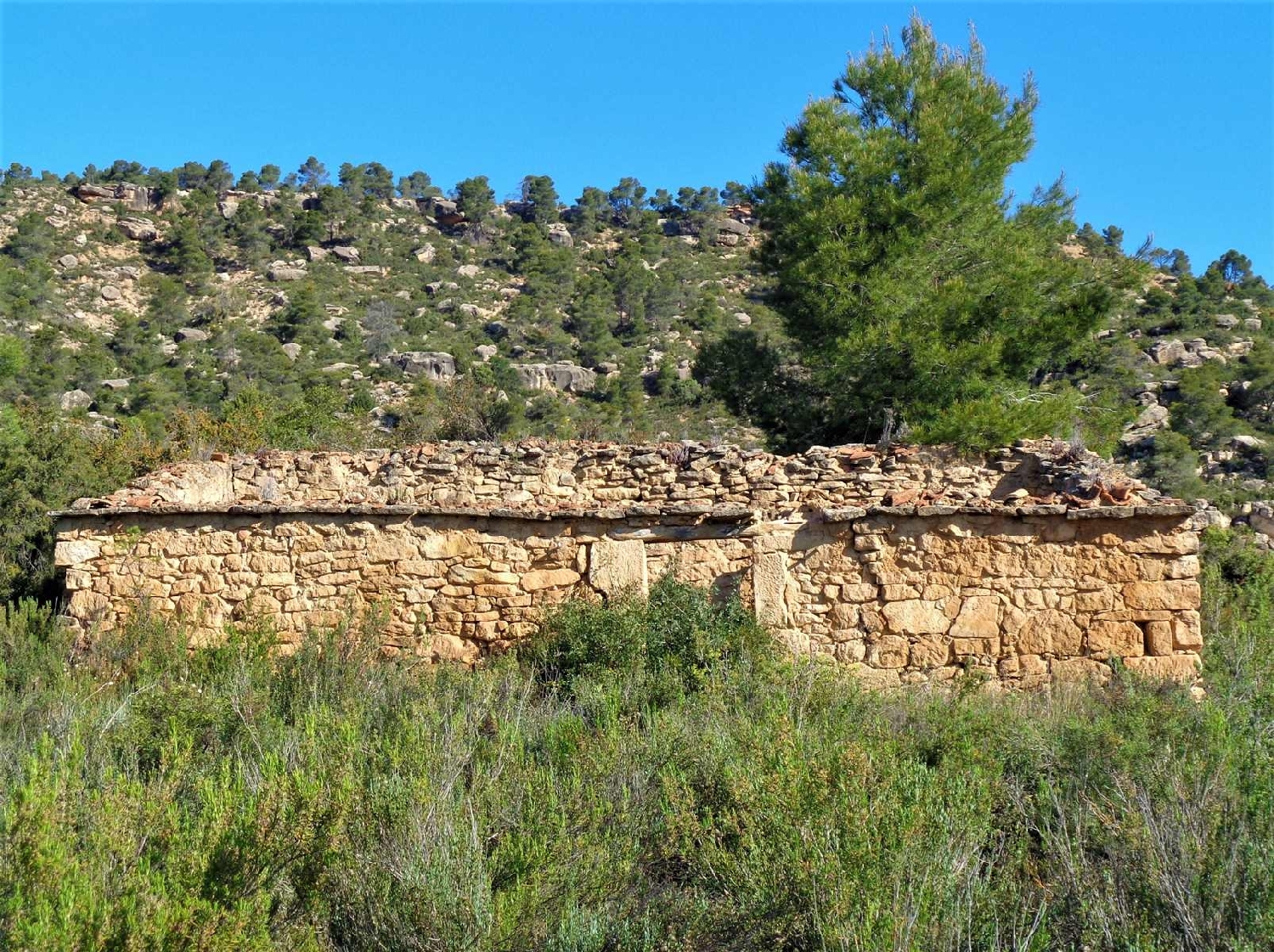  à vendre maison de campagne Maella Bajo Aragón-Caspe 13