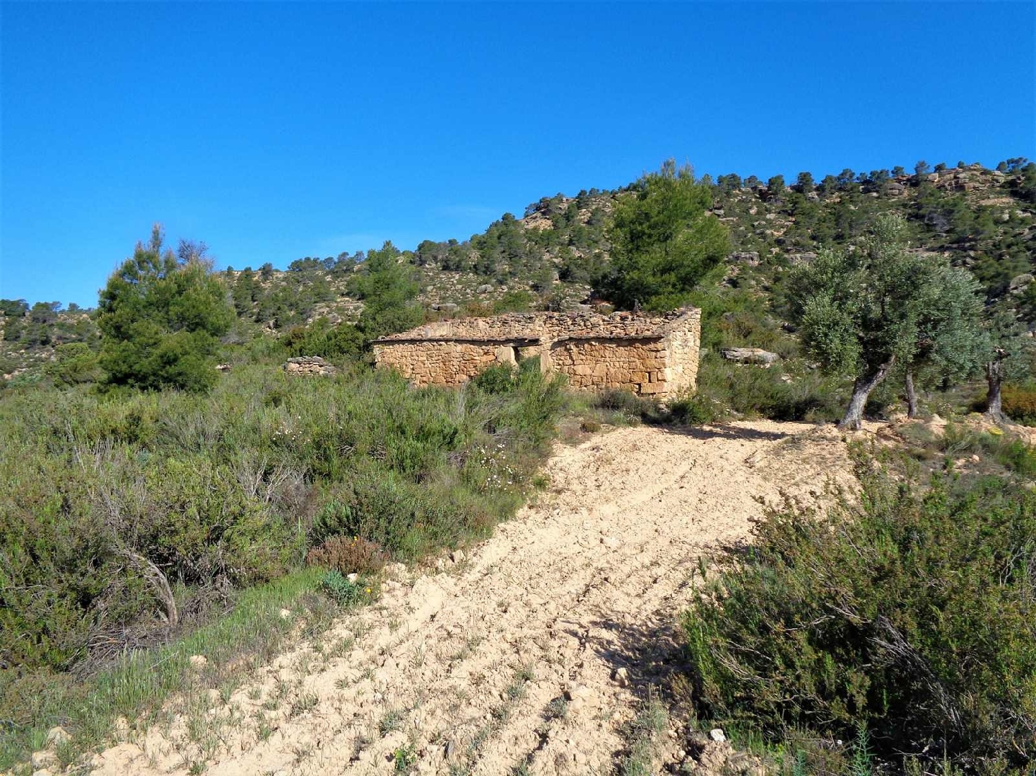  à vendre maison de campagne Maella Bajo Aragón-Caspe 12