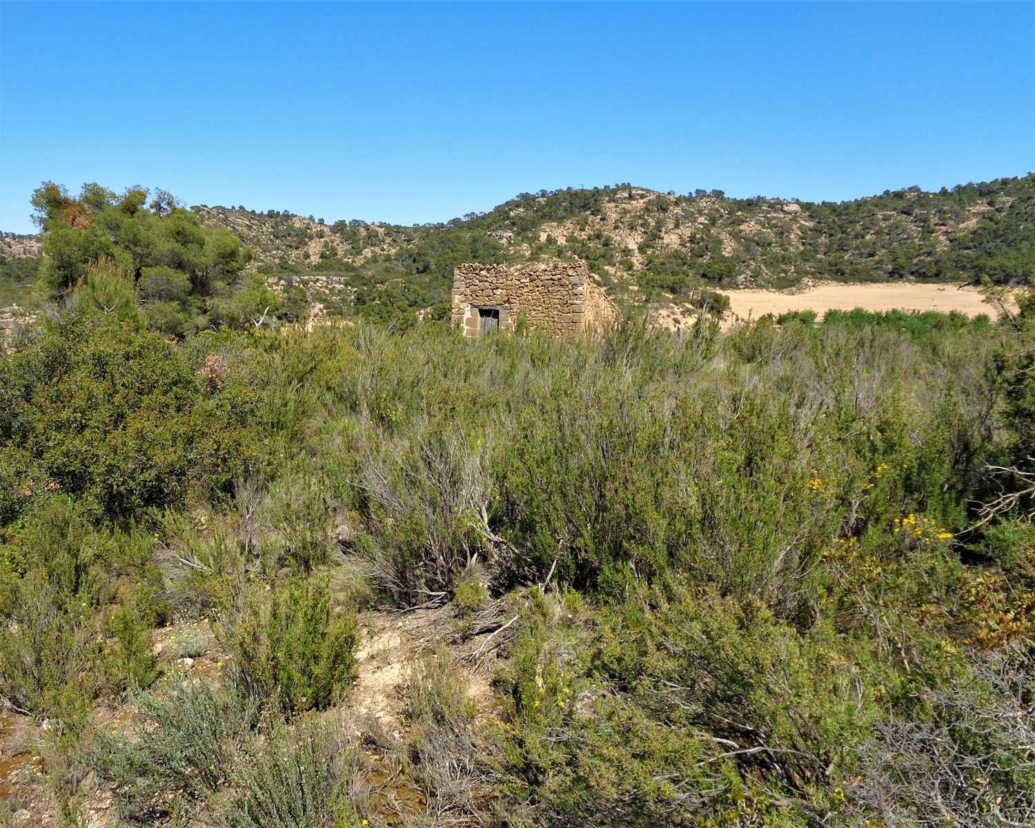  te koop boerderij Maella Bajo Aragón-Caspe 9