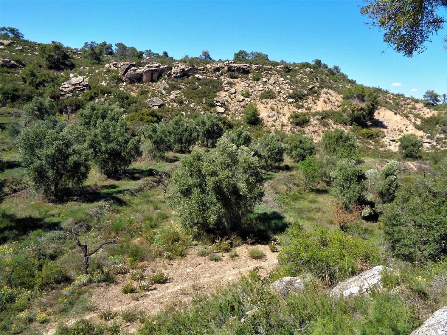  te koop boerderij Maella Bajo Aragón-Caspe 8