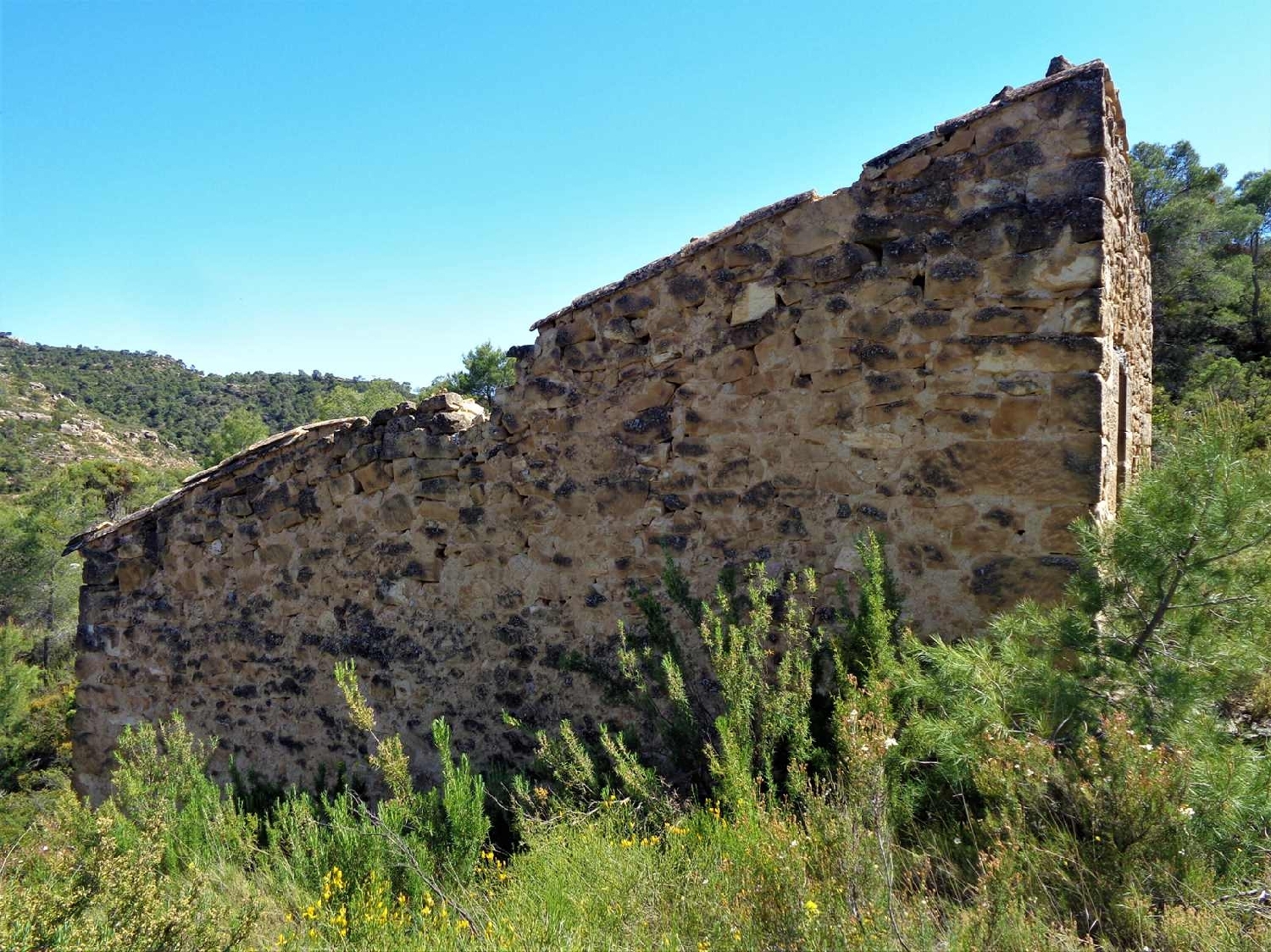  te koop boerderij Maella Bajo Aragón-Caspe 13