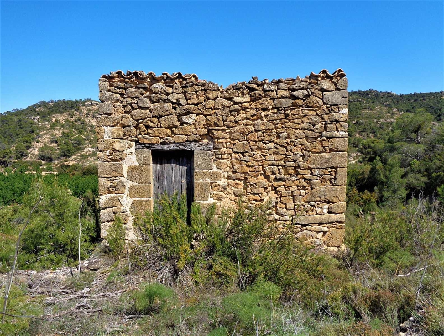 te koop boerderij Maella Bajo Aragón-Caspe 10