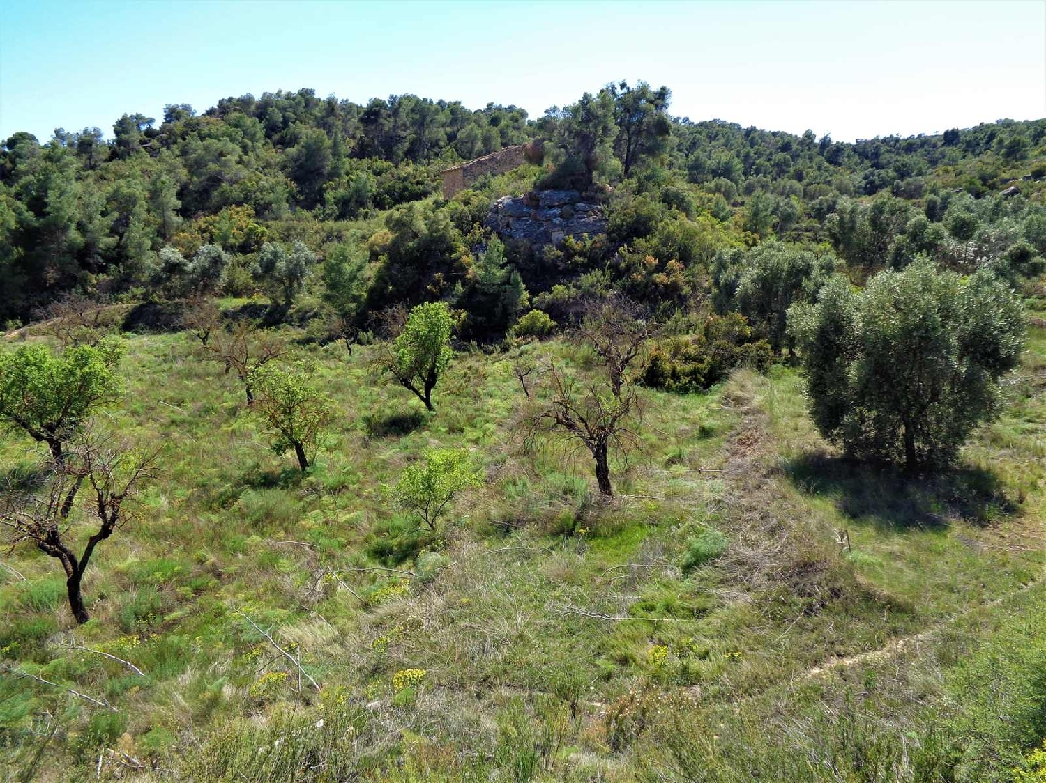  te koop boerderij Maella Bajo Aragón-Caspe 15