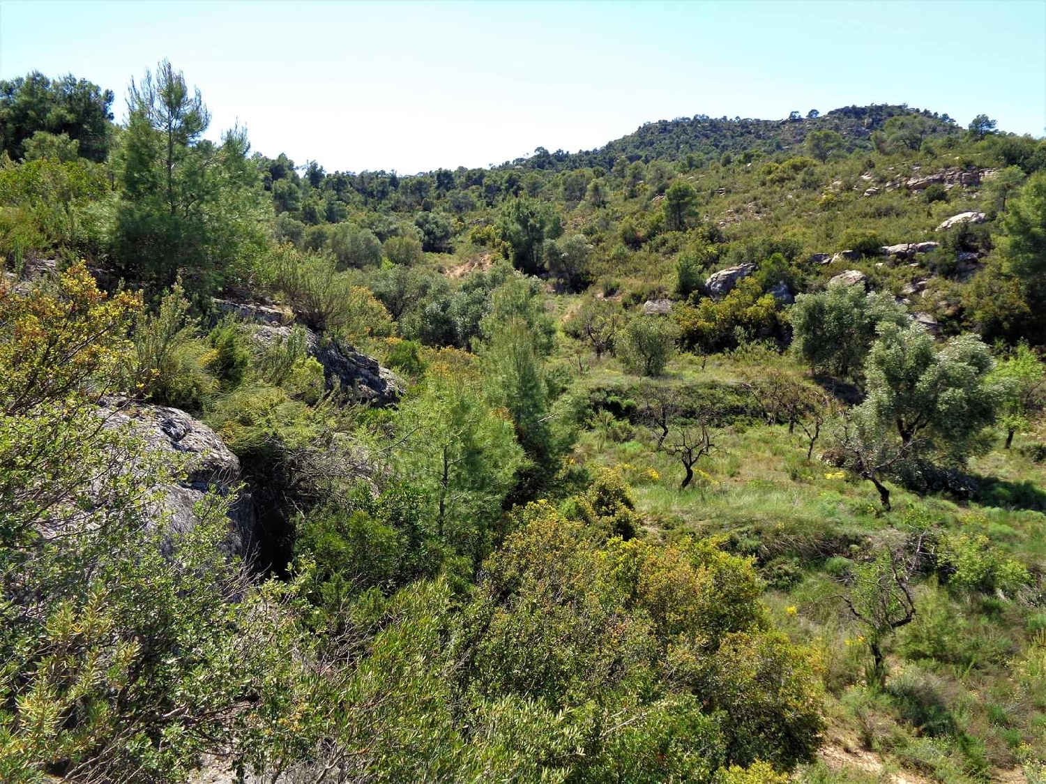  te koop boerderij Maella Bajo Aragón-Caspe 6
