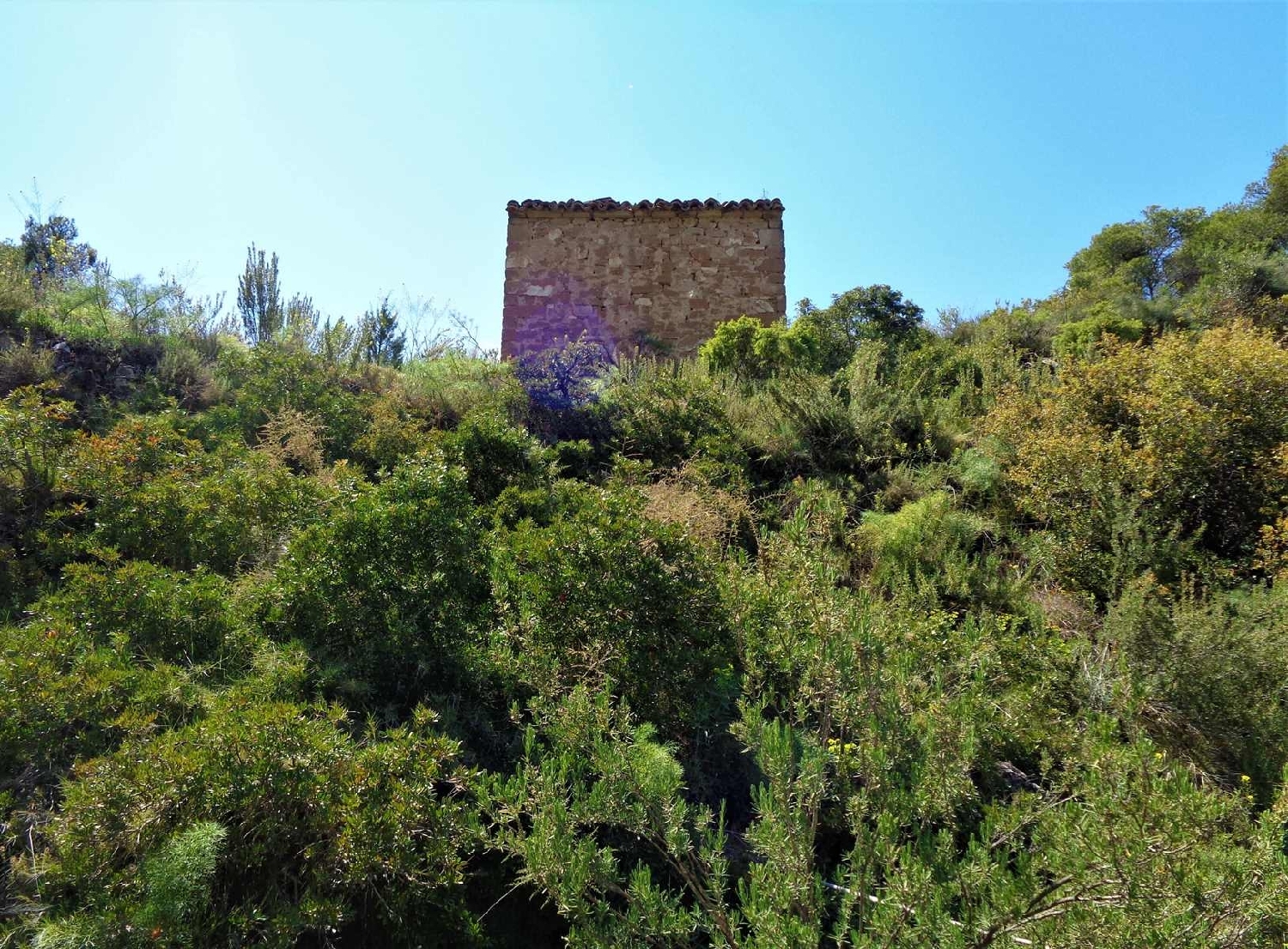  te koop boerderij Maella Bajo Aragón-Caspe 4
