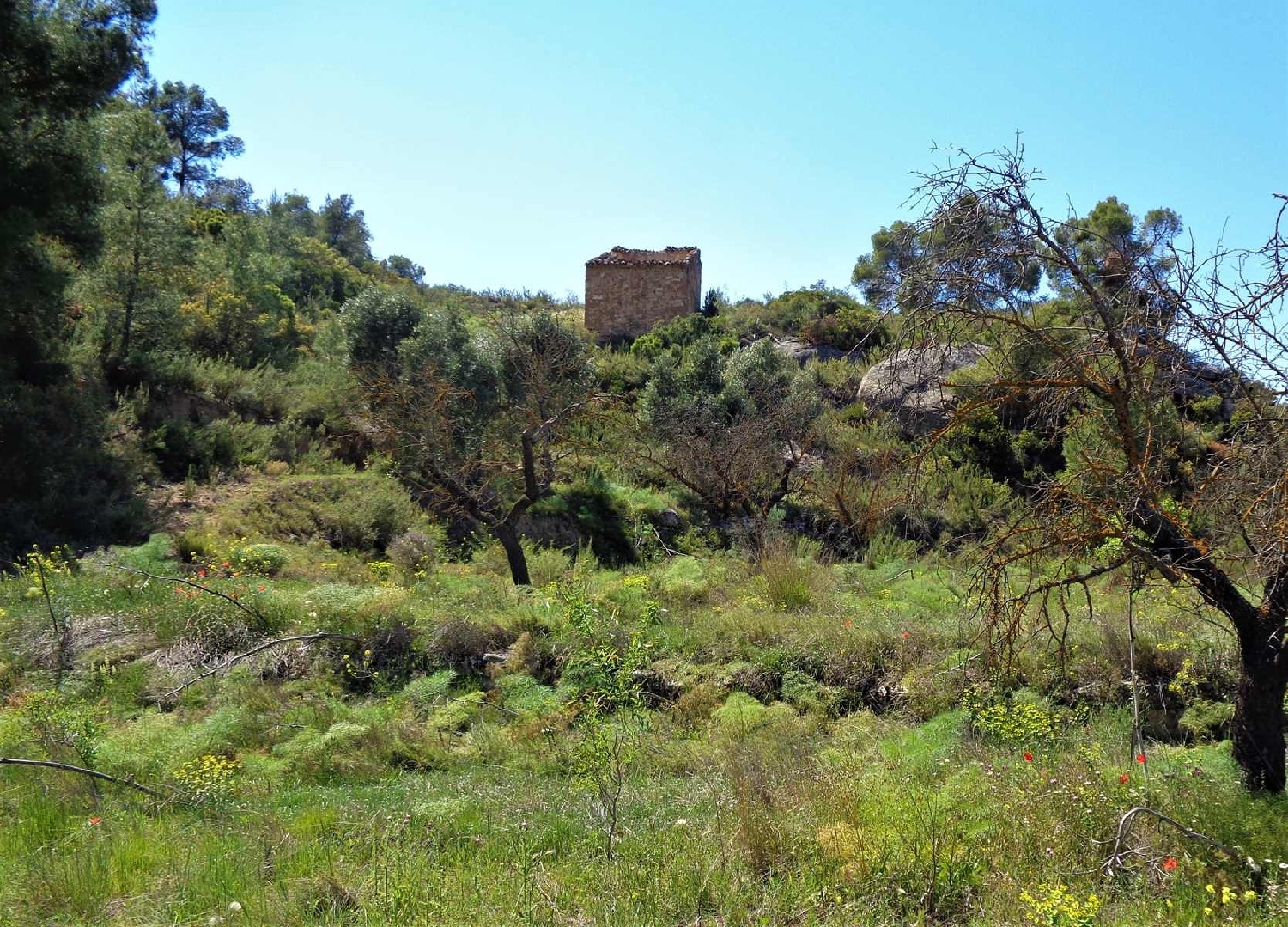  te koop boerderij Maella Bajo Aragón-Caspe 3
