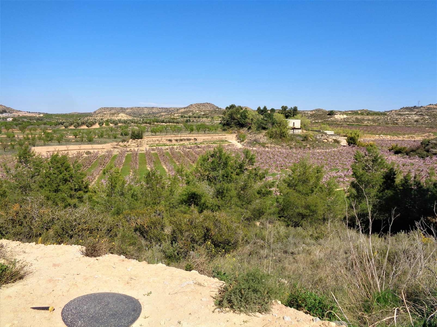  à vendre maison de campagne Maella Bajo Aragón-Caspe 10