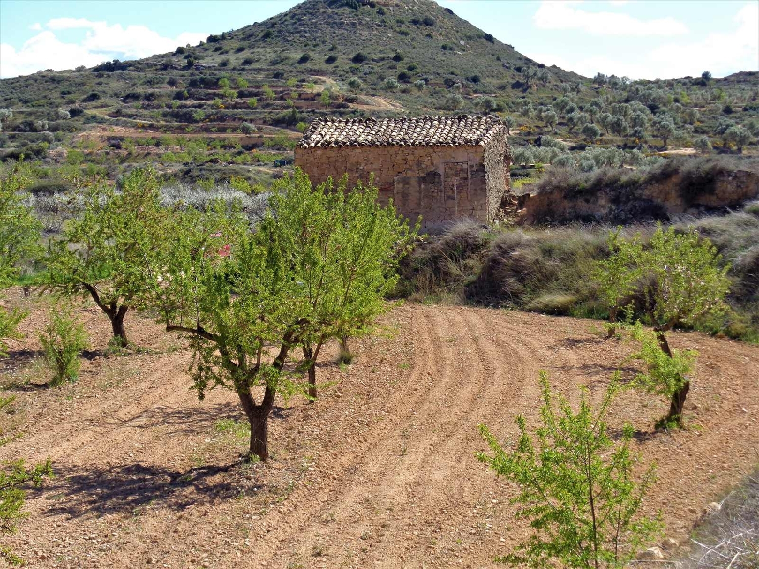  à vendre maison de campagne Maella Bajo Aragón-Caspe 8