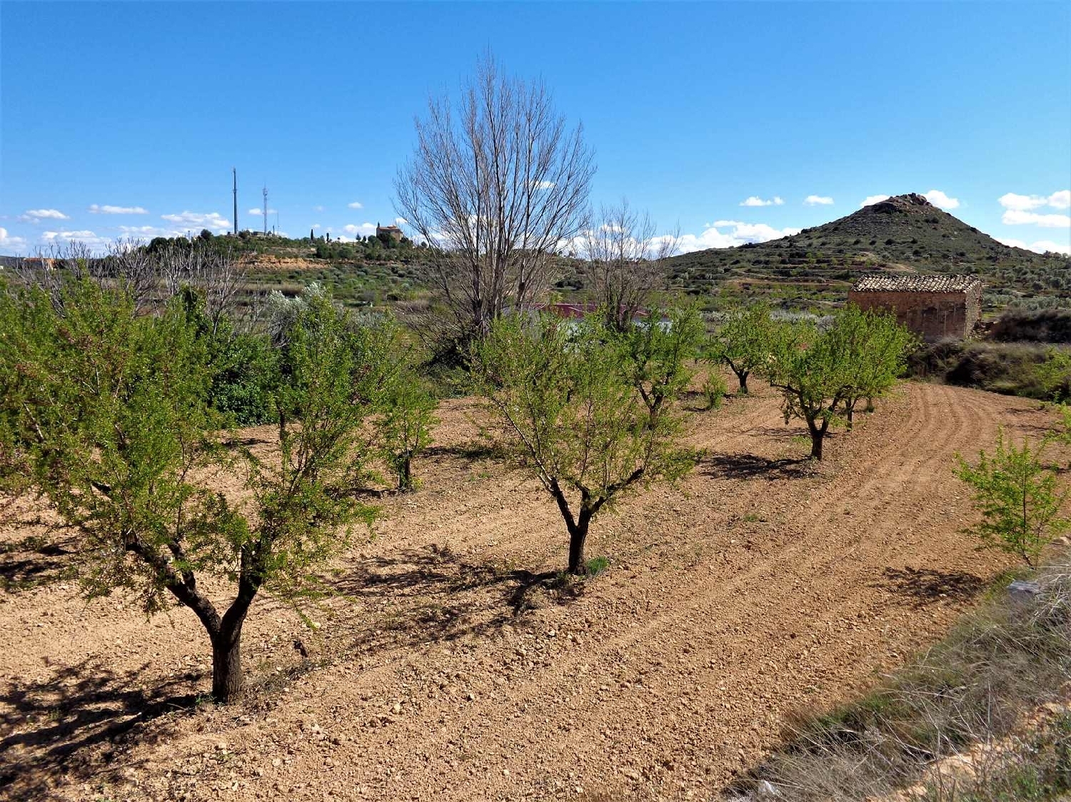  à vendre maison de campagne Maella Bajo Aragón-Caspe 10