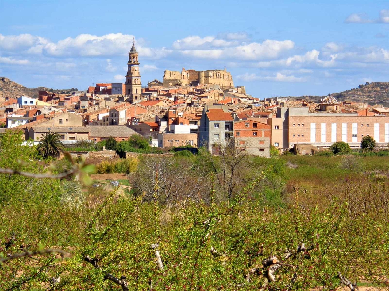  à vendre maison de campagne Maella Bajo Aragón-Caspe 7