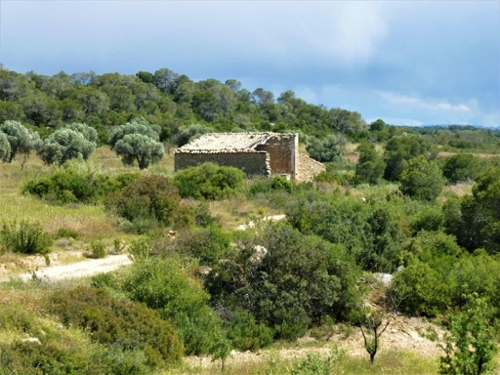 Maella Bajo Aragón-Caspe Landhaus Bild 6271065