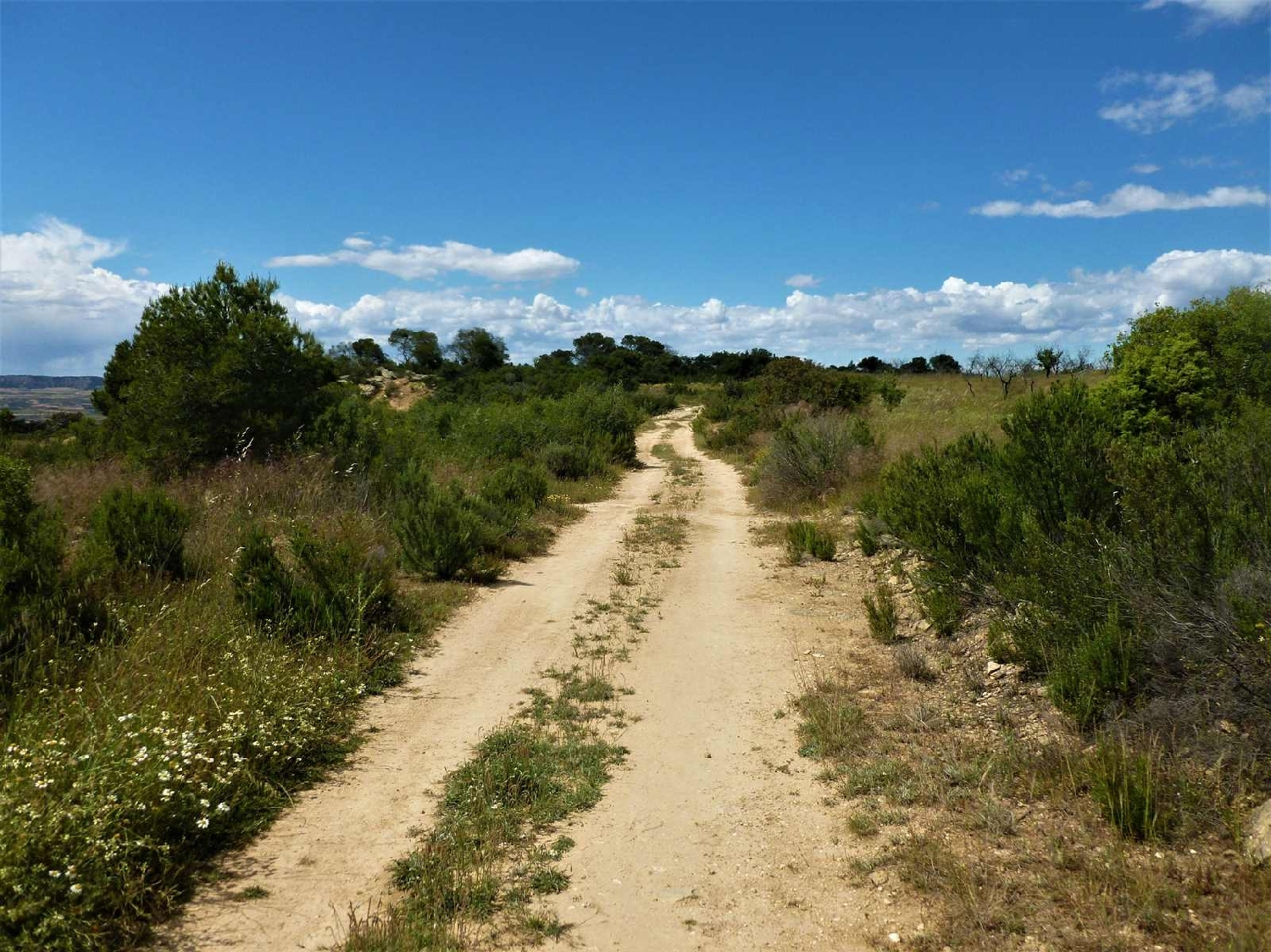  te koop boerderij Maella Bajo Aragón-Caspe 2