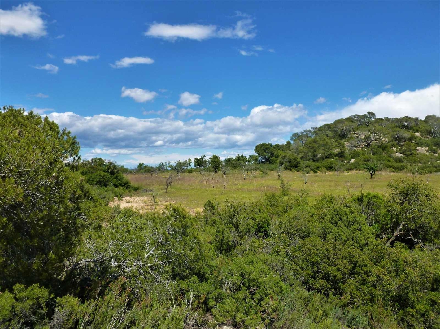  te koop boerderij Maella Bajo Aragón-Caspe 4