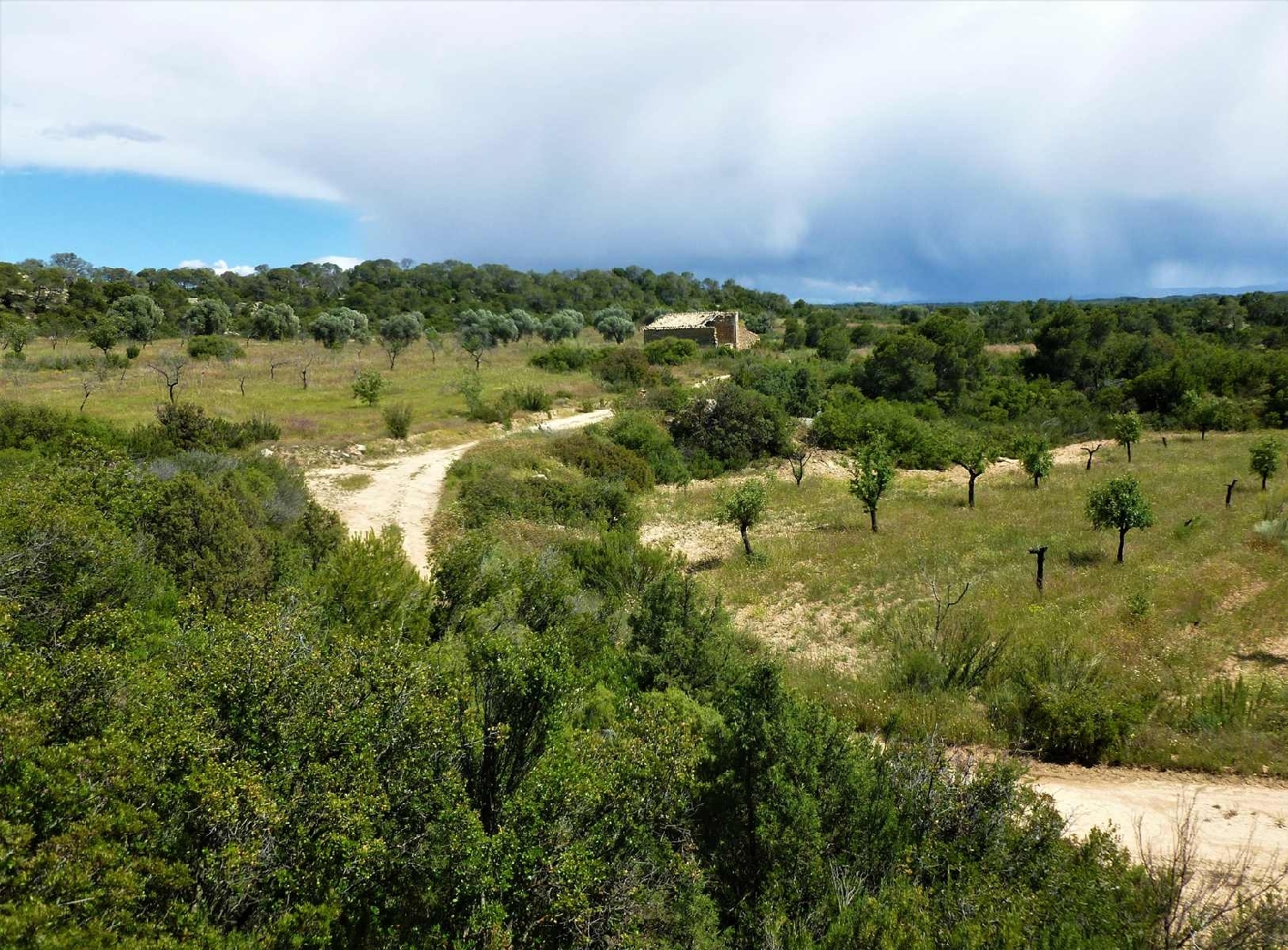  te koop boerderij Maella Bajo Aragón-Caspe 3