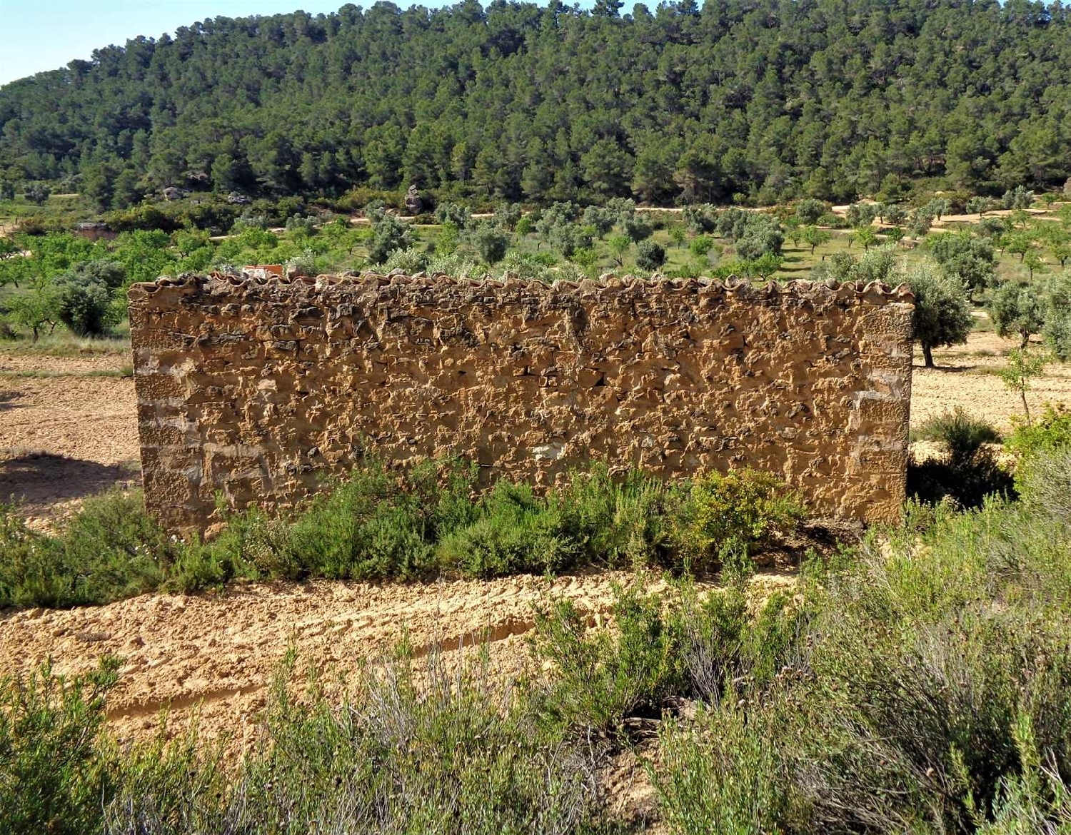  à vendre maison de campagne Maella Bajo Aragón-Caspe 3