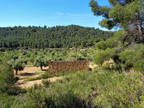 Maella Bajo Aragón-Caspe Landhaus Bild 6271066