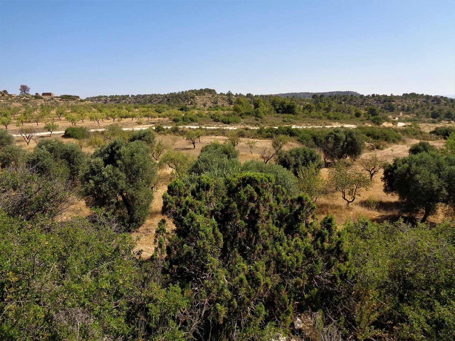  à vendre maison de campagne Maella Bajo Aragón-Caspe 14
