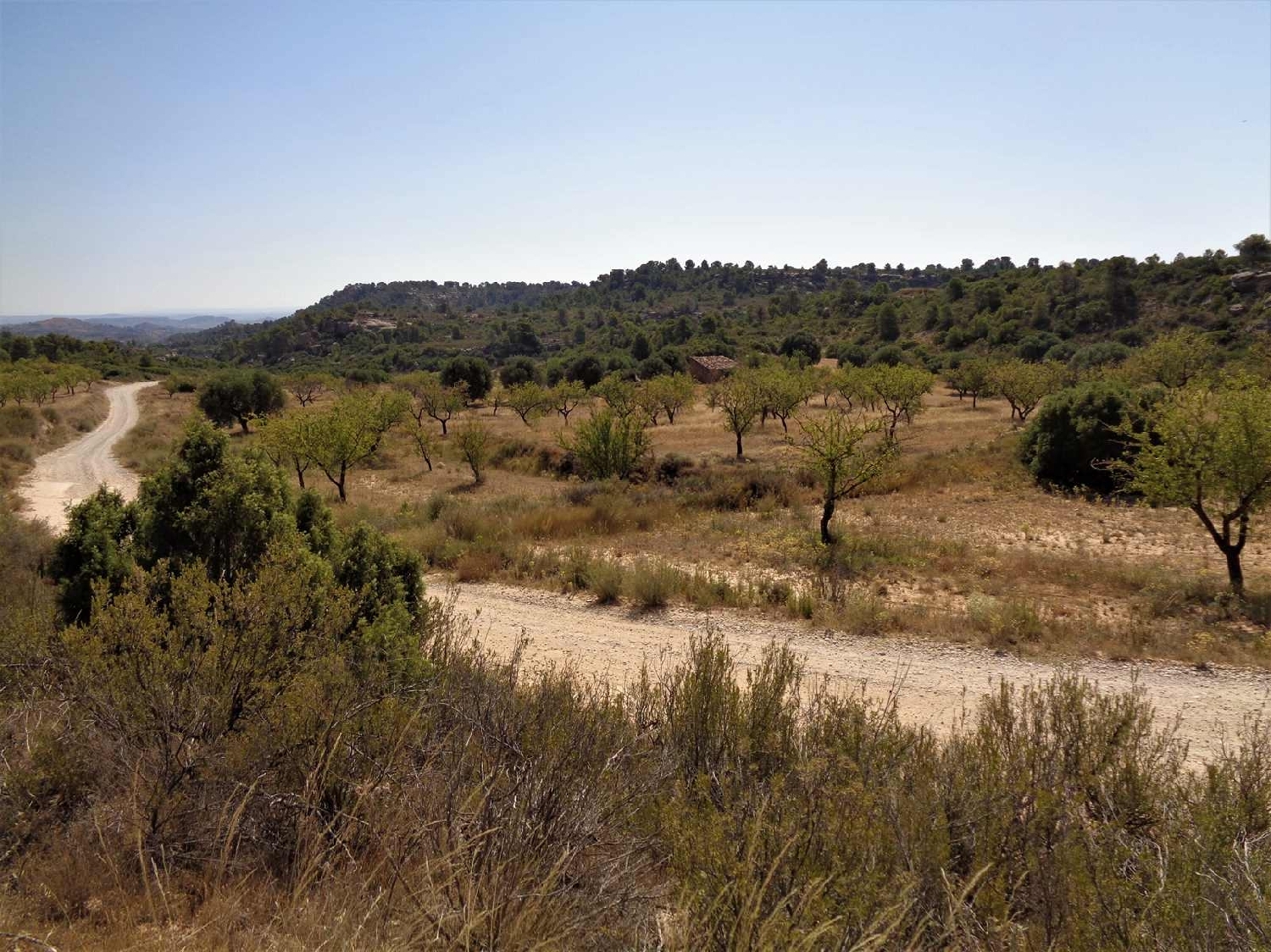  à vendre maison de campagne Maella Bajo Aragón-Caspe 15