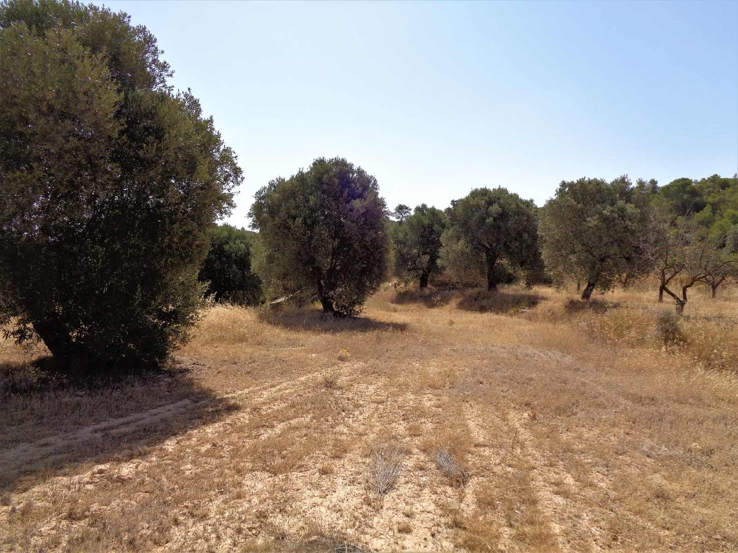  à vendre maison de campagne Maella Bajo Aragón-Caspe 12