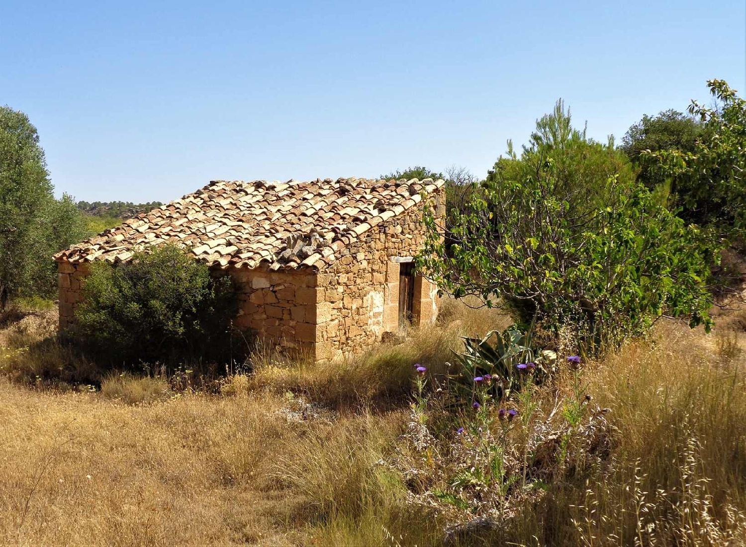  à vendre maison de campagne Maella Bajo Aragón-Caspe 5