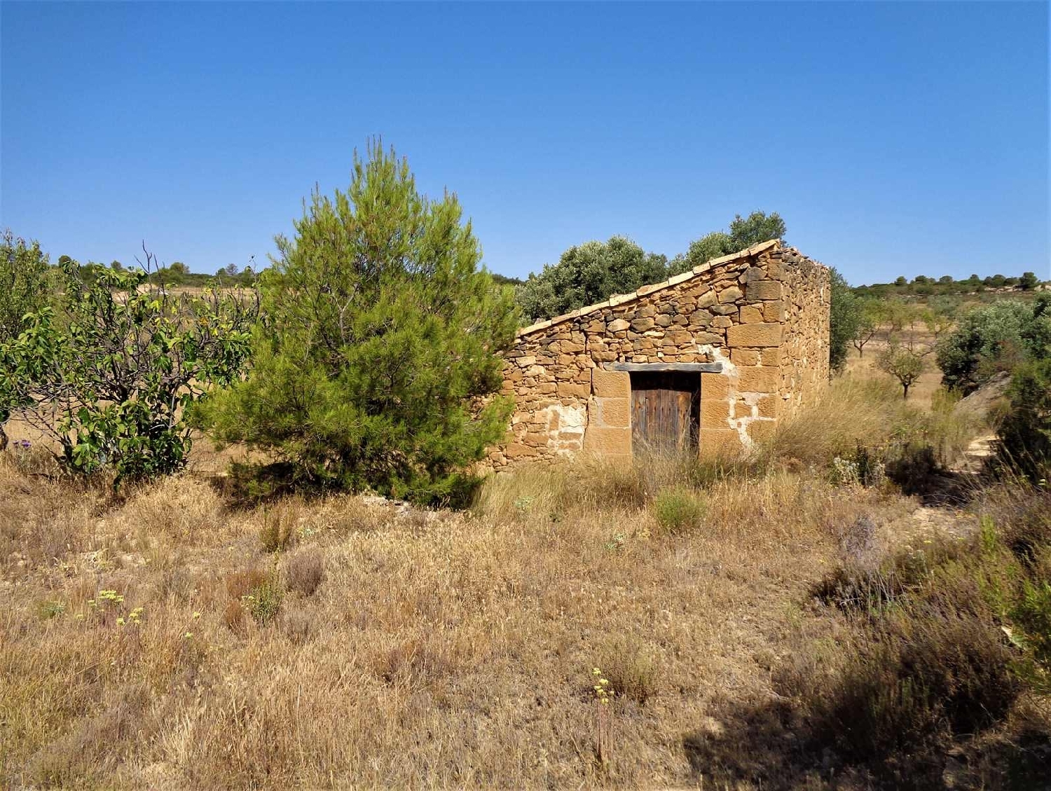  à vendre maison de campagne Maella Bajo Aragón-Caspe 6