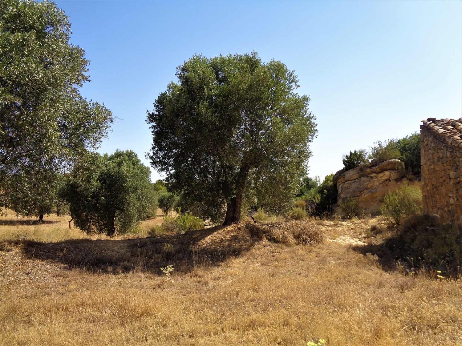  à vendre maison de campagne Maella Bajo Aragón-Caspe 11