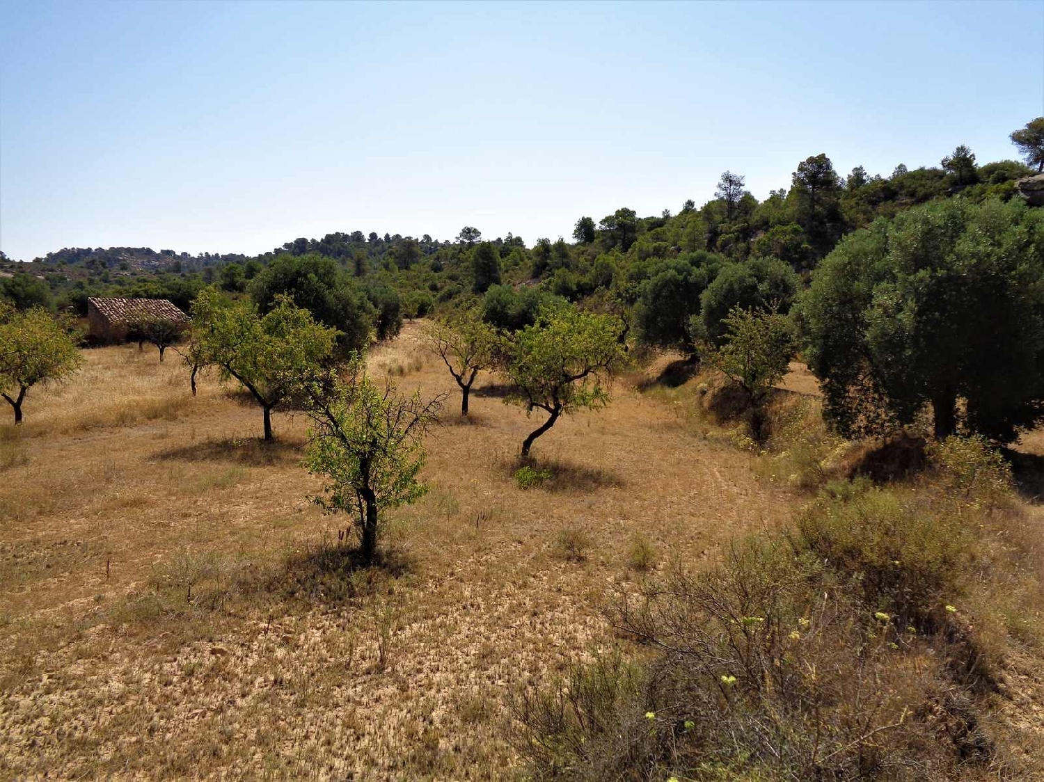  à vendre maison de campagne Maella Bajo Aragón-Caspe 1