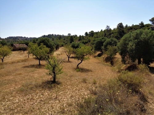 Maella Bajo Aragón-Caspe Landhaus Bild 6271067