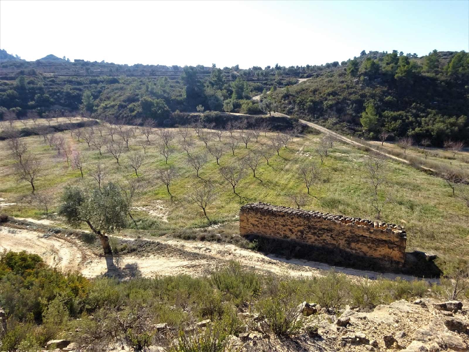  à vendre maison de campagne Maella Bajo Aragón-Caspe 7