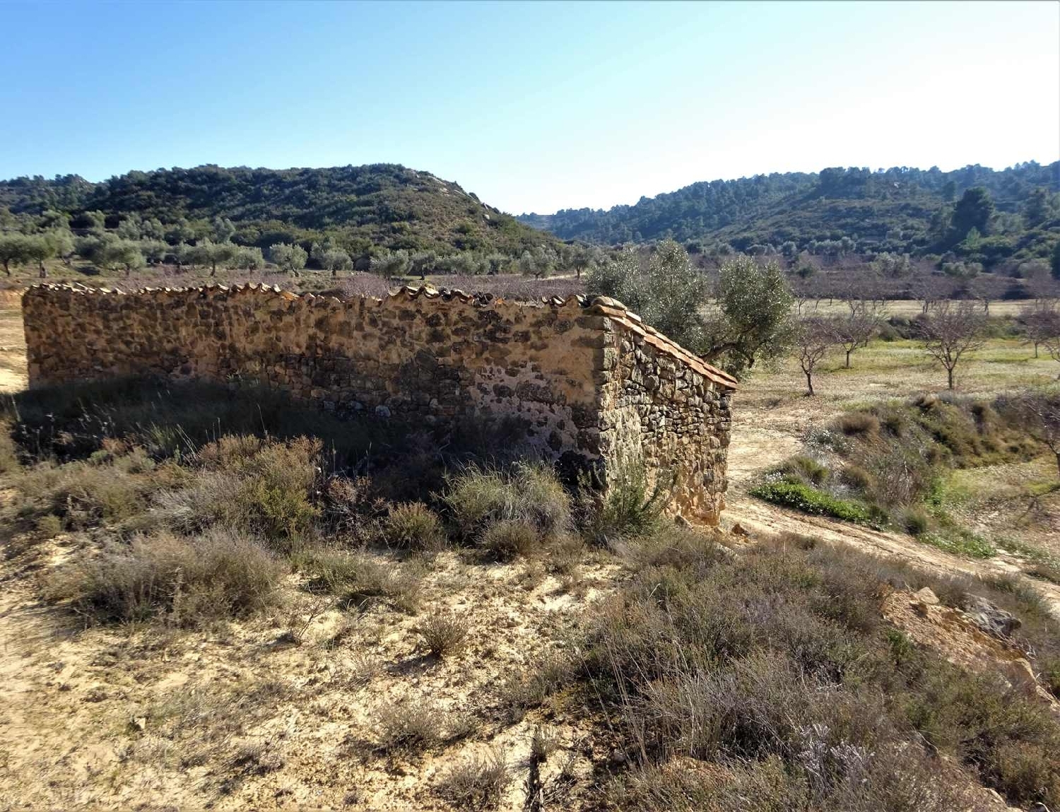  à vendre maison de campagne Maella Bajo Aragón-Caspe 14