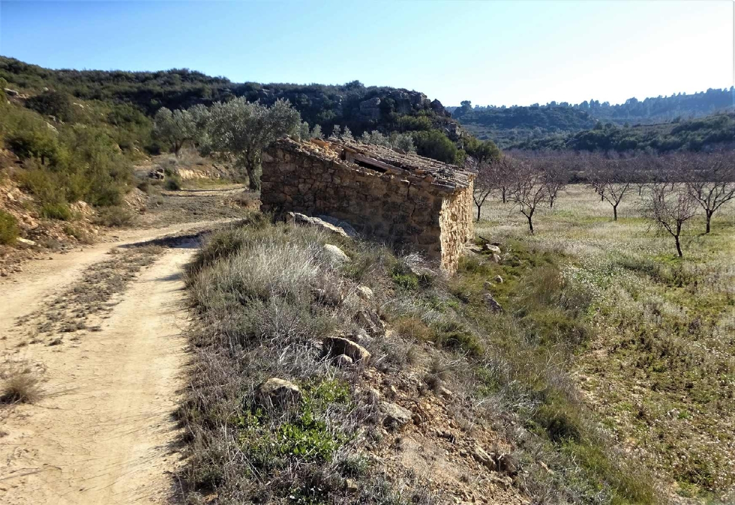  à vendre maison de campagne Maella Bajo Aragón-Caspe 2