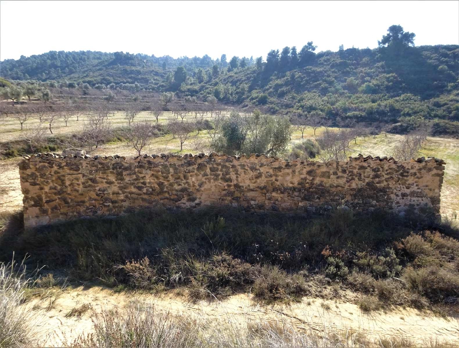  à vendre maison de campagne Maella Bajo Aragón-Caspe 15