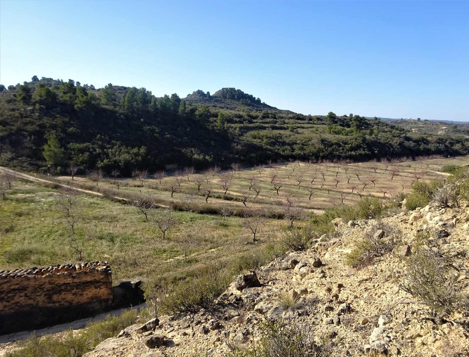  à vendre maison de campagne Maella Bajo Aragón-Caspe 6
