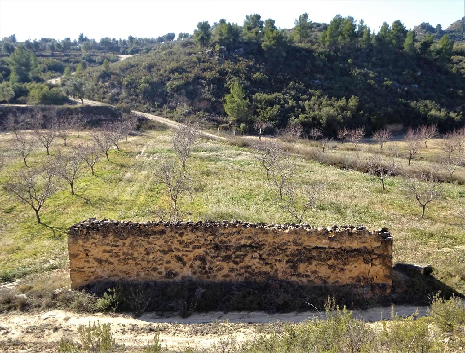  à vendre maison de campagne Maella Bajo Aragón-Caspe 1