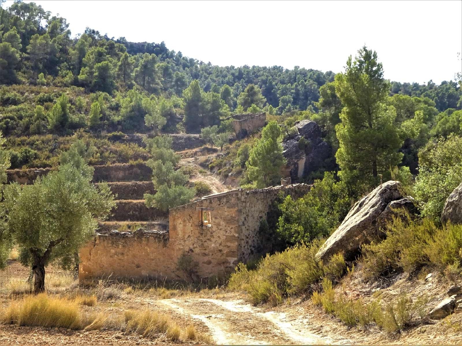  à vendre maison de campagne Maella Bajo Aragón-Caspe 1