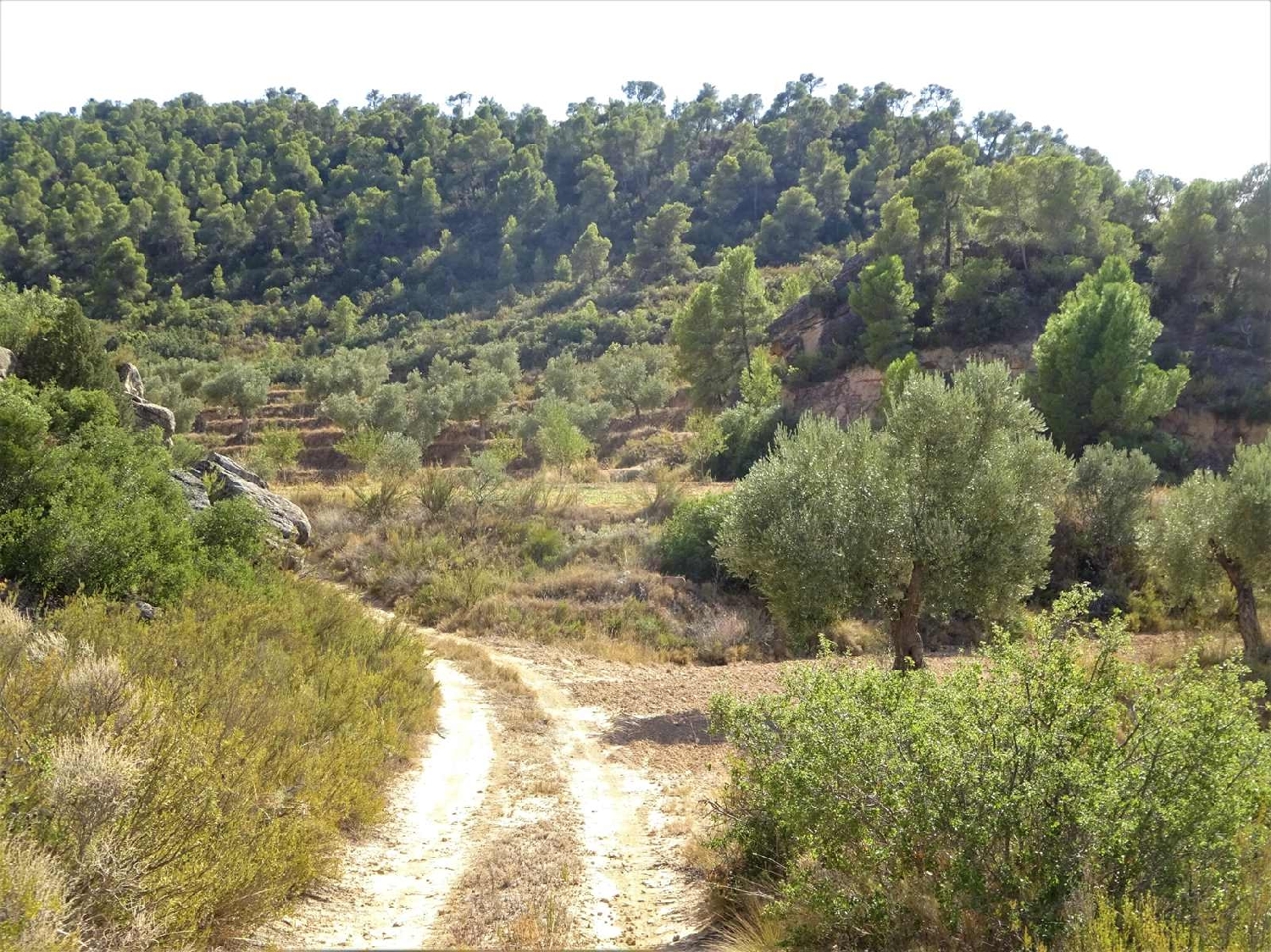  à vendre maison de campagne Maella Bajo Aragón-Caspe 13