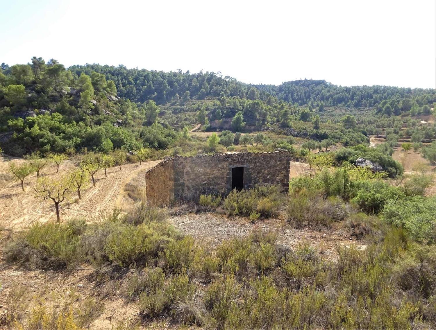  à vendre maison de campagne Maella Bajo Aragón-Caspe 12