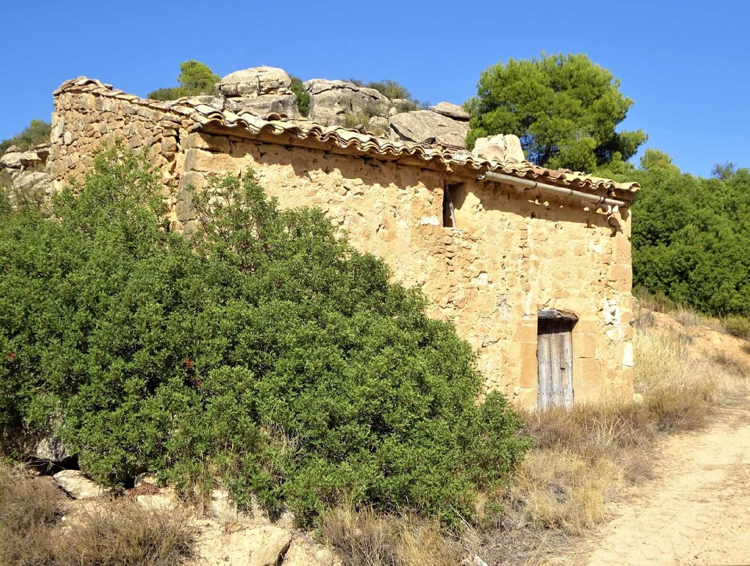  à vendre maison de campagne Maella Bajo Aragón-Caspe 6