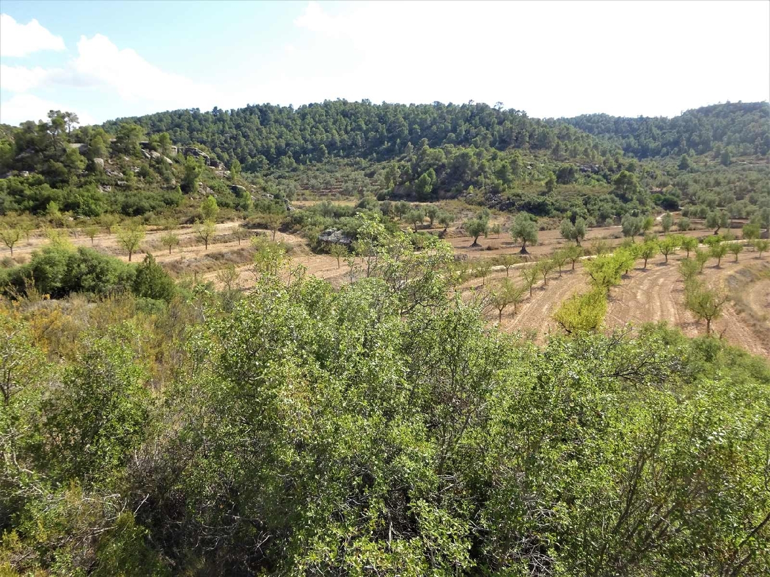  à vendre maison de campagne Maella Bajo Aragón-Caspe 3